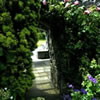 Tea & Garden Rooms: image 3 0f 14 thumb