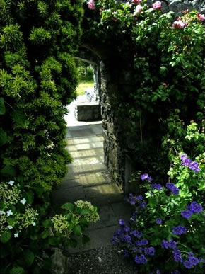 The Tea & Garden Rooms / An Fear Gorta Archway